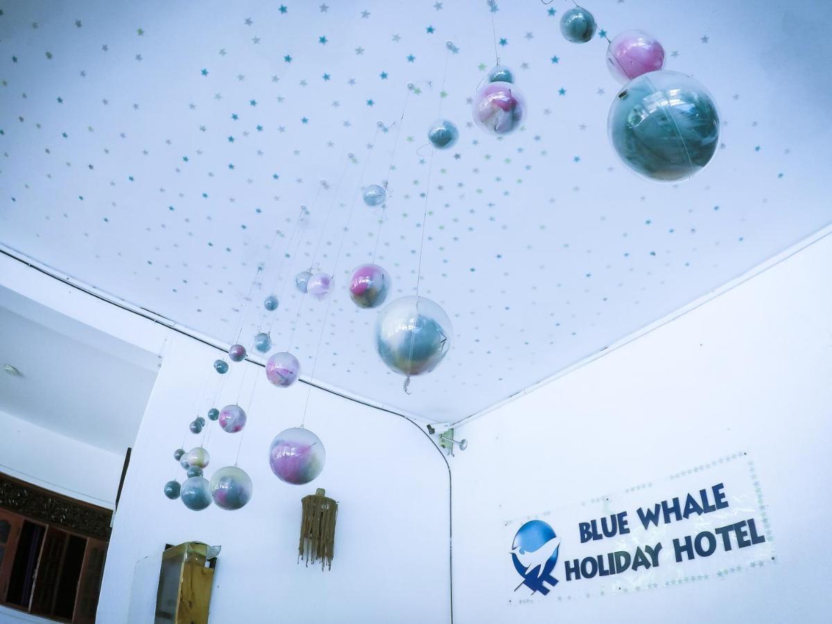 Mirissa Blue Whale Holiday Hotel Exterior foto