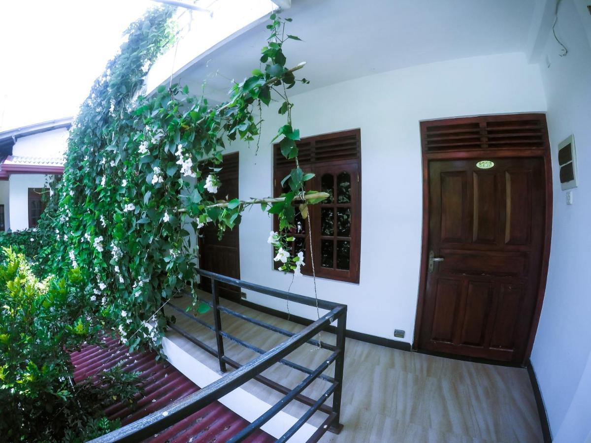 Mirissa Blue Whale Holiday Hotel Exterior foto